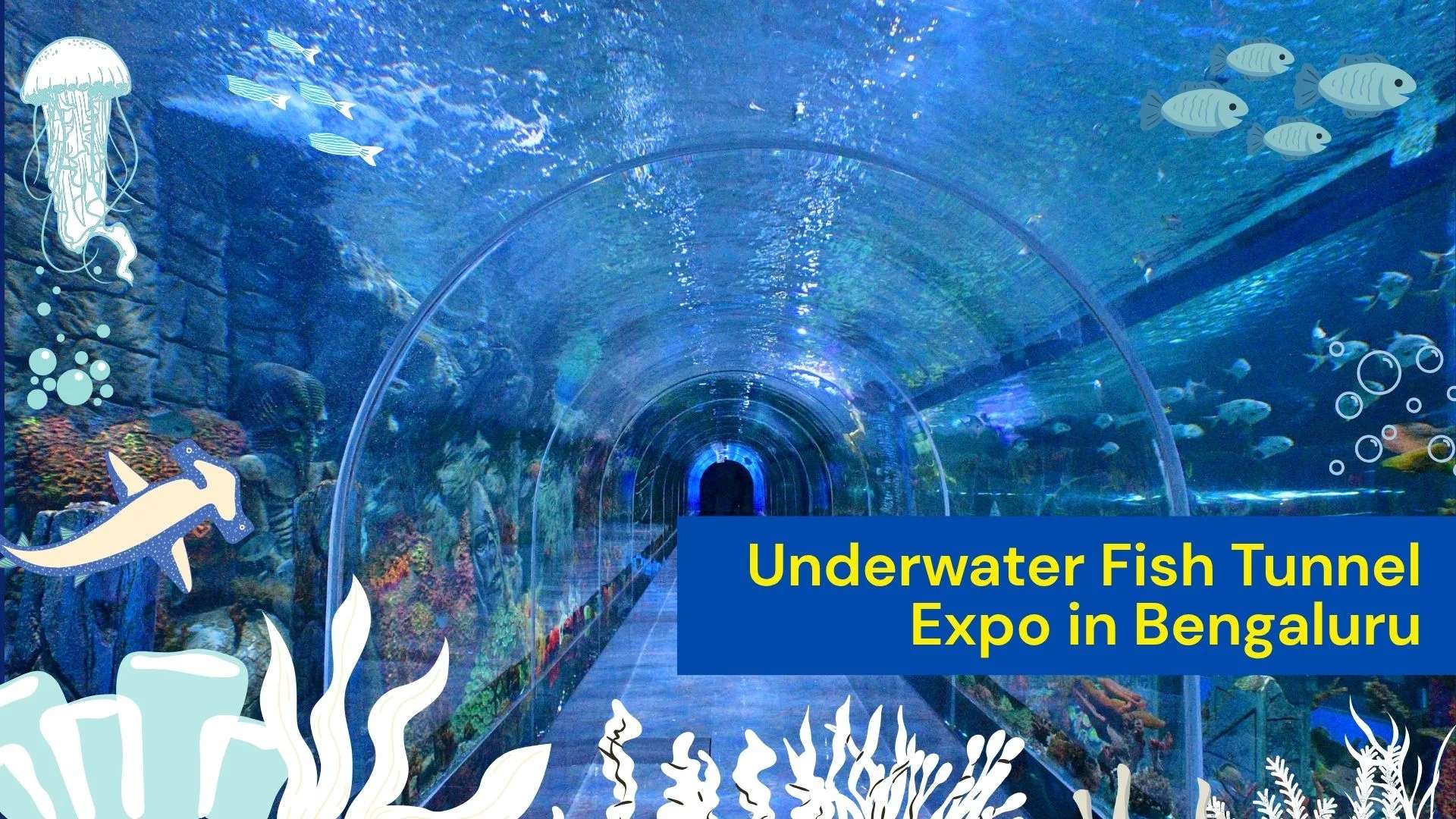 Underwater Fish Tunnel Expo in Bengaluru: Visit Aquarium Paradise 2026